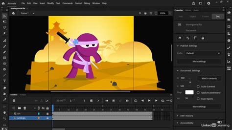 Activation Adobe Animate software